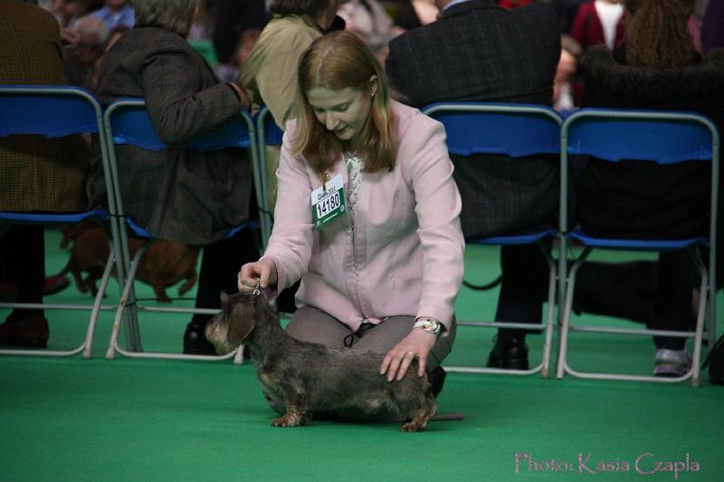 Crufts2011_2 650.jpg